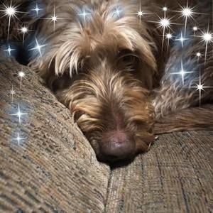 Meet your Posher, Judy